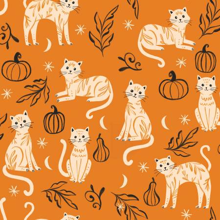 Kittens on Orange