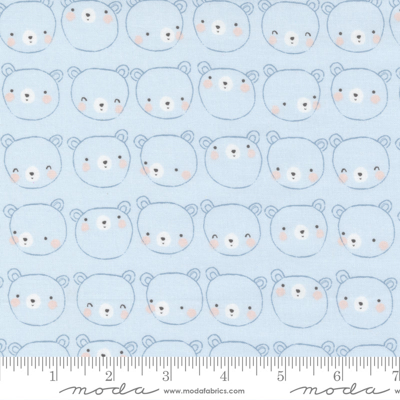 Dreaming Bears on Blue