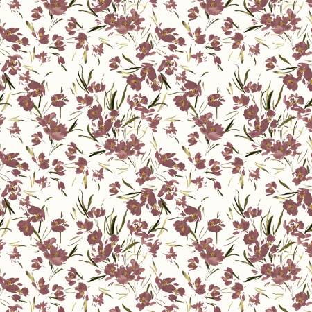 Peony Tulip in Ivory