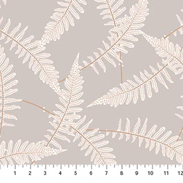 Ferns in Grey
