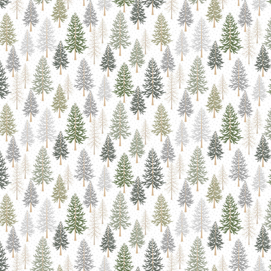 Pine Trees on White
