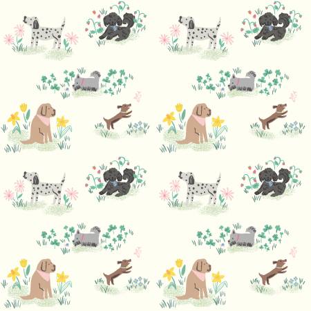 Chloe Dogs on Cream