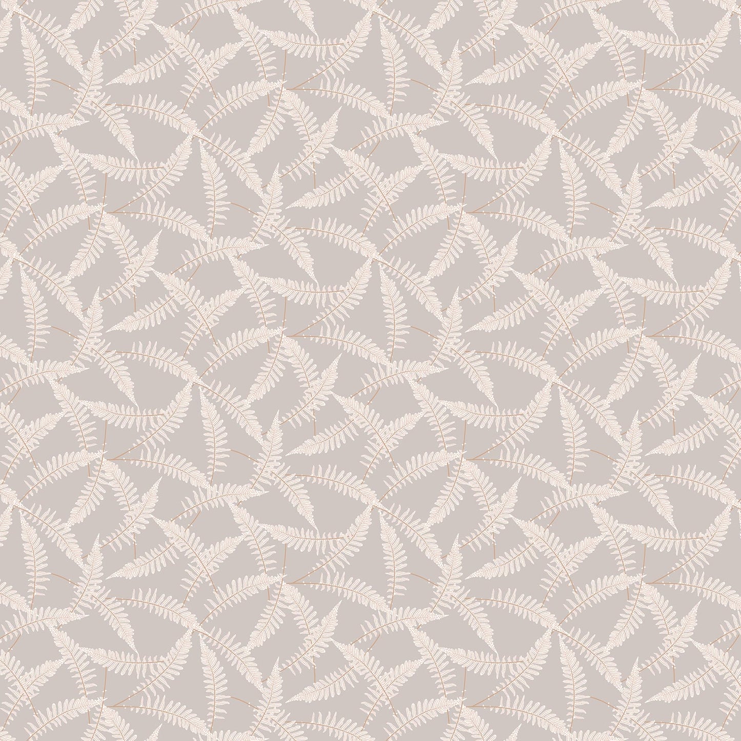 Ferns in Grey