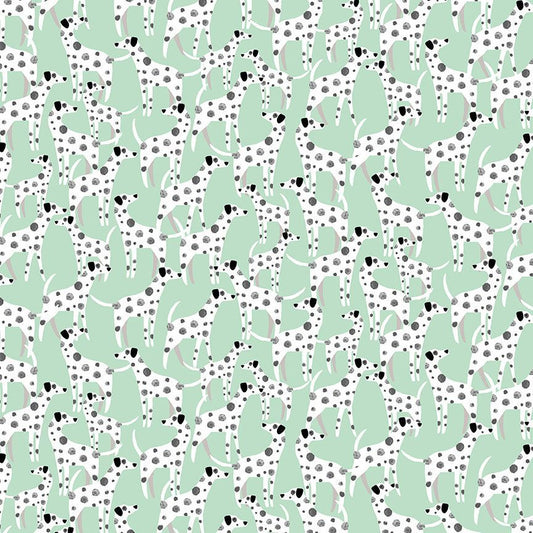 Dotty About You in Mint