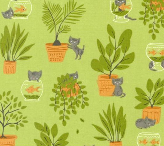 Here Kitty Kitty in Pistachio