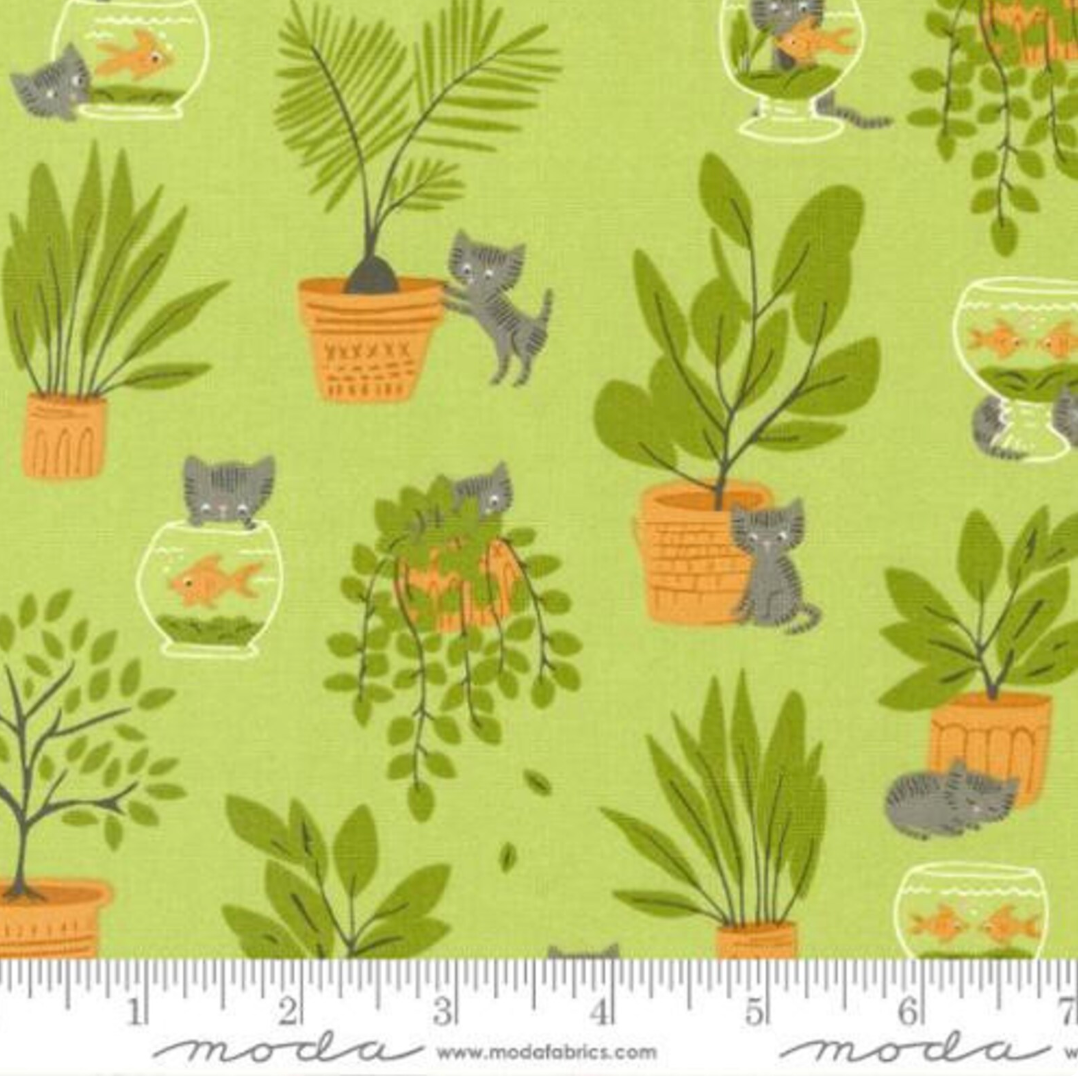 Here Kitty Kitty in Pistachio