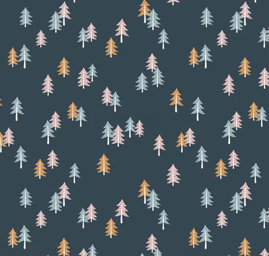 Spruce Forest in Twilight