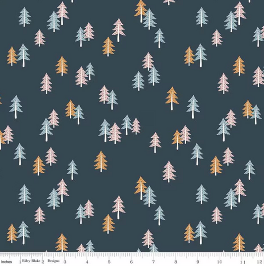 Spruce Forest in Twilight