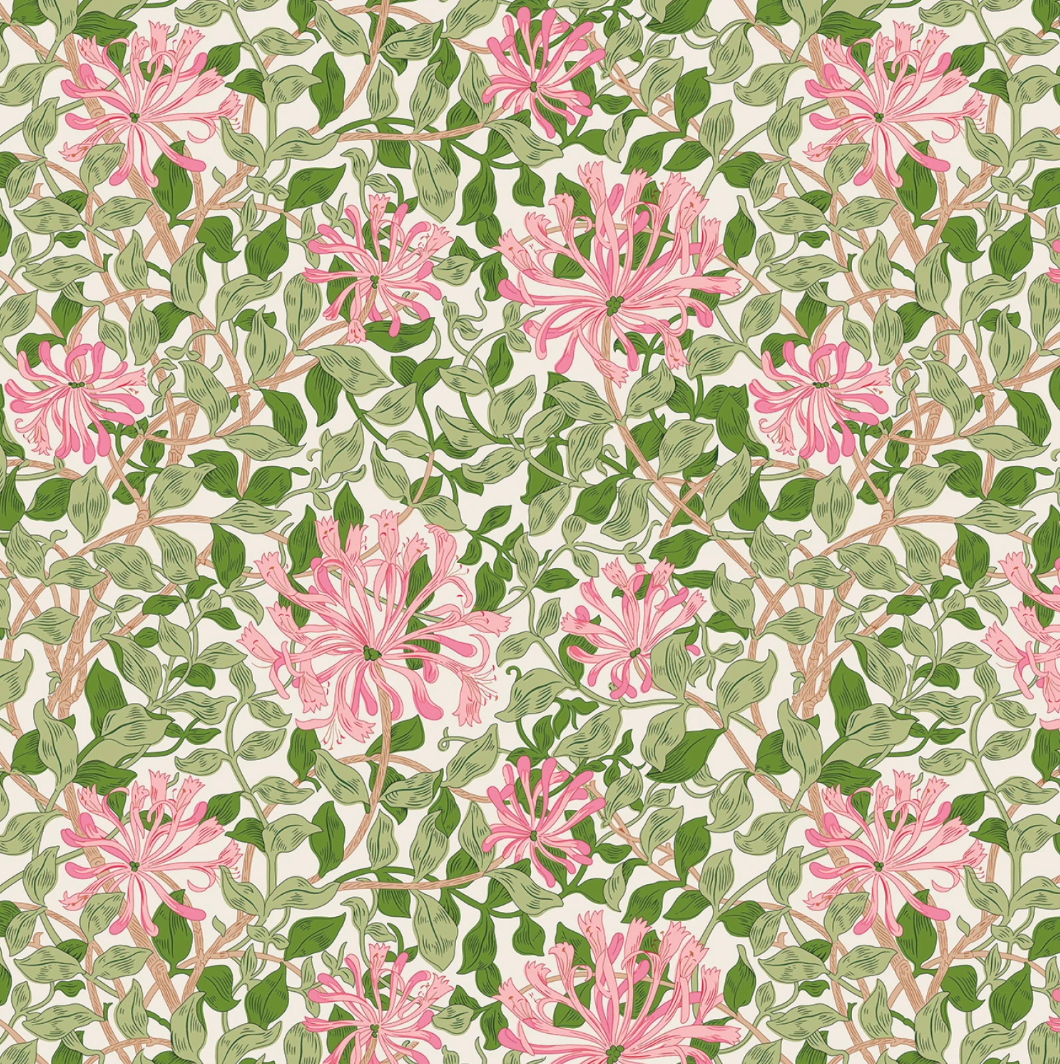 Trailing Honeysuckle A | Wide Back