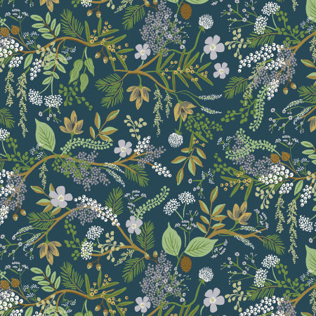 Juniper Forest in Evergreen