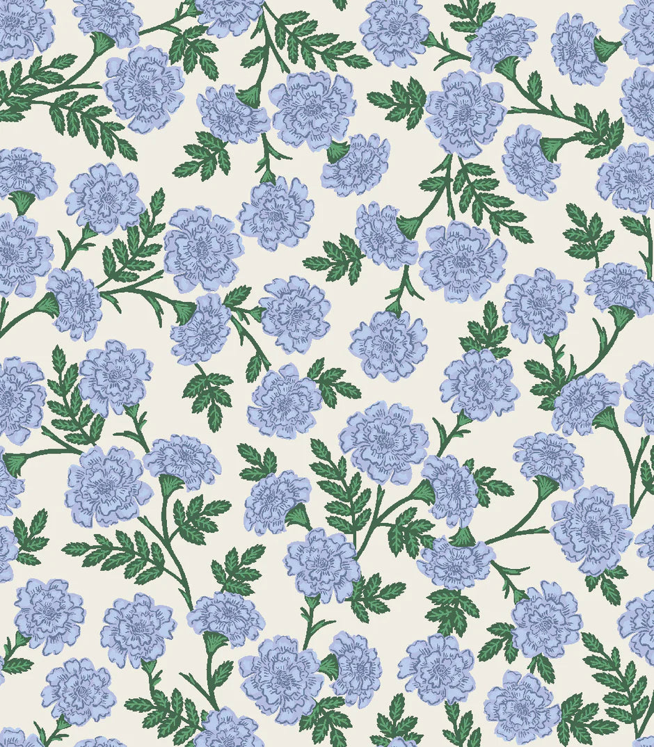 Dianthus in Blue