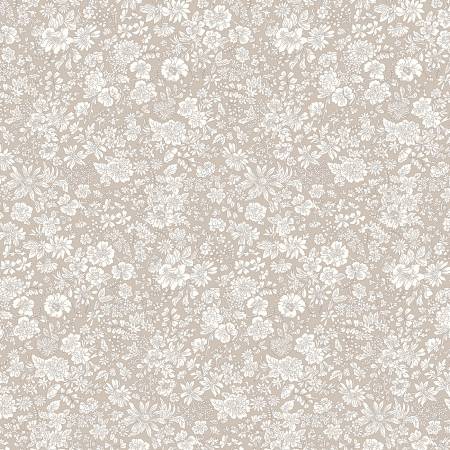 Emily Belle in Oatmeal