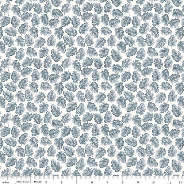 Pale Blue Canopy in White