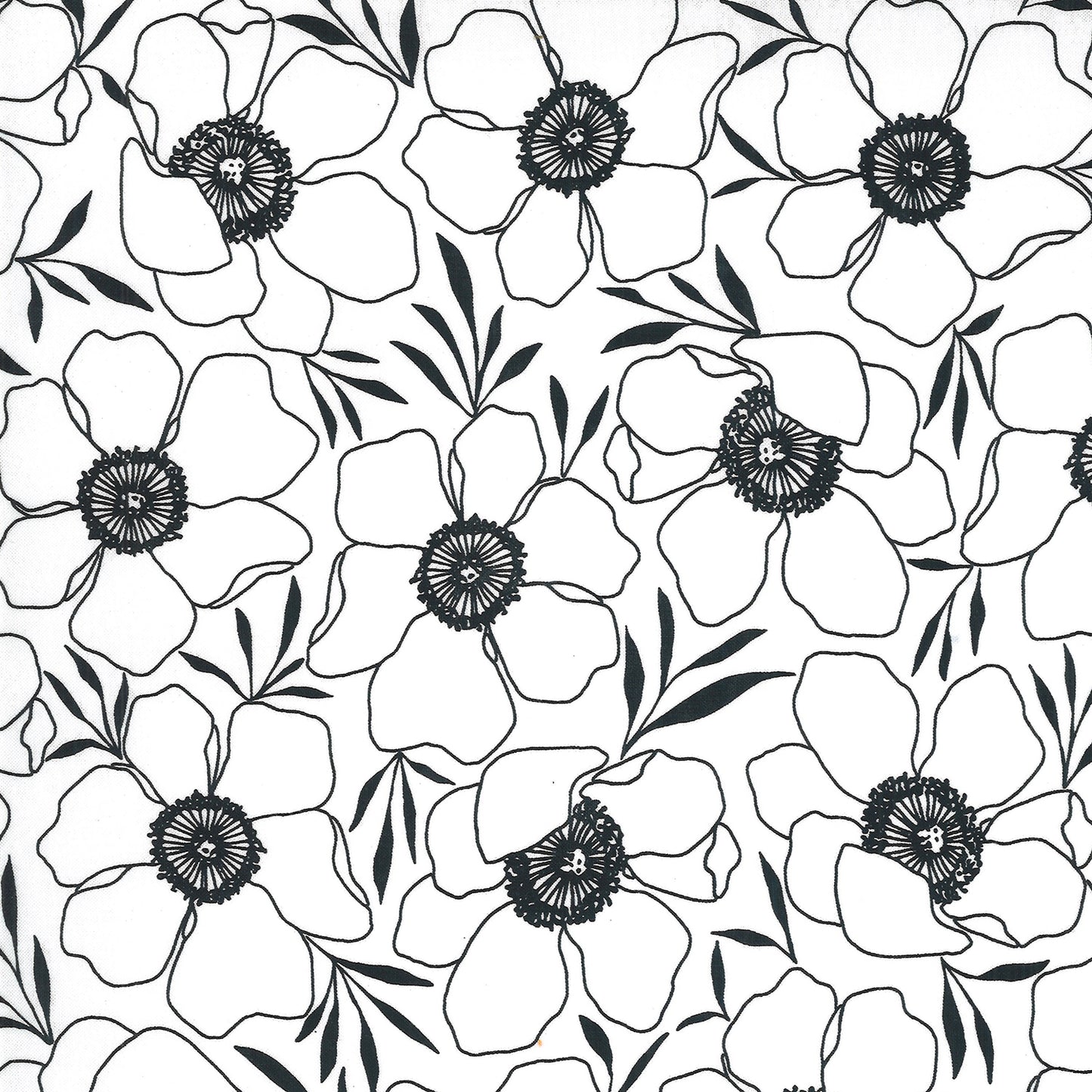 Anemone Flowers on Paper - Weave & Woven