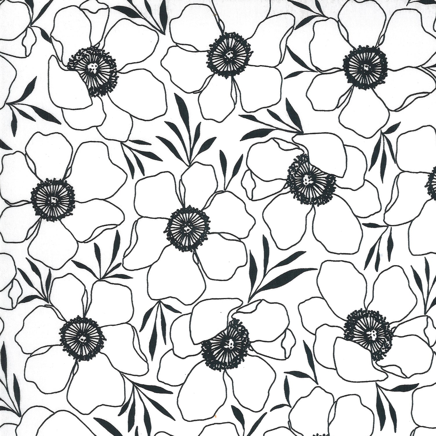 Anemone Flowers on Paper - Weave & Woven