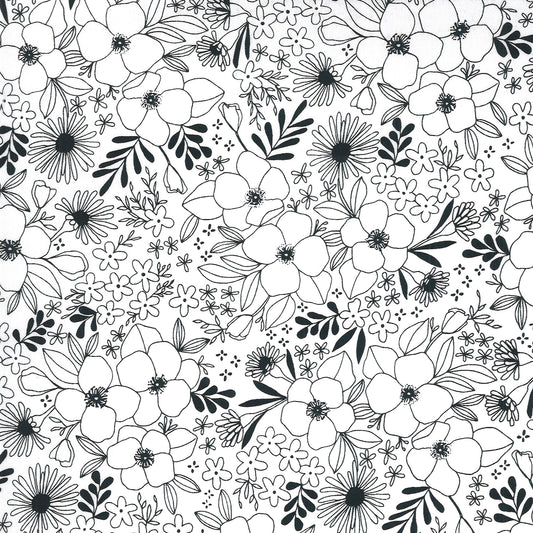 Illustrations on Paper - Weave & Woven