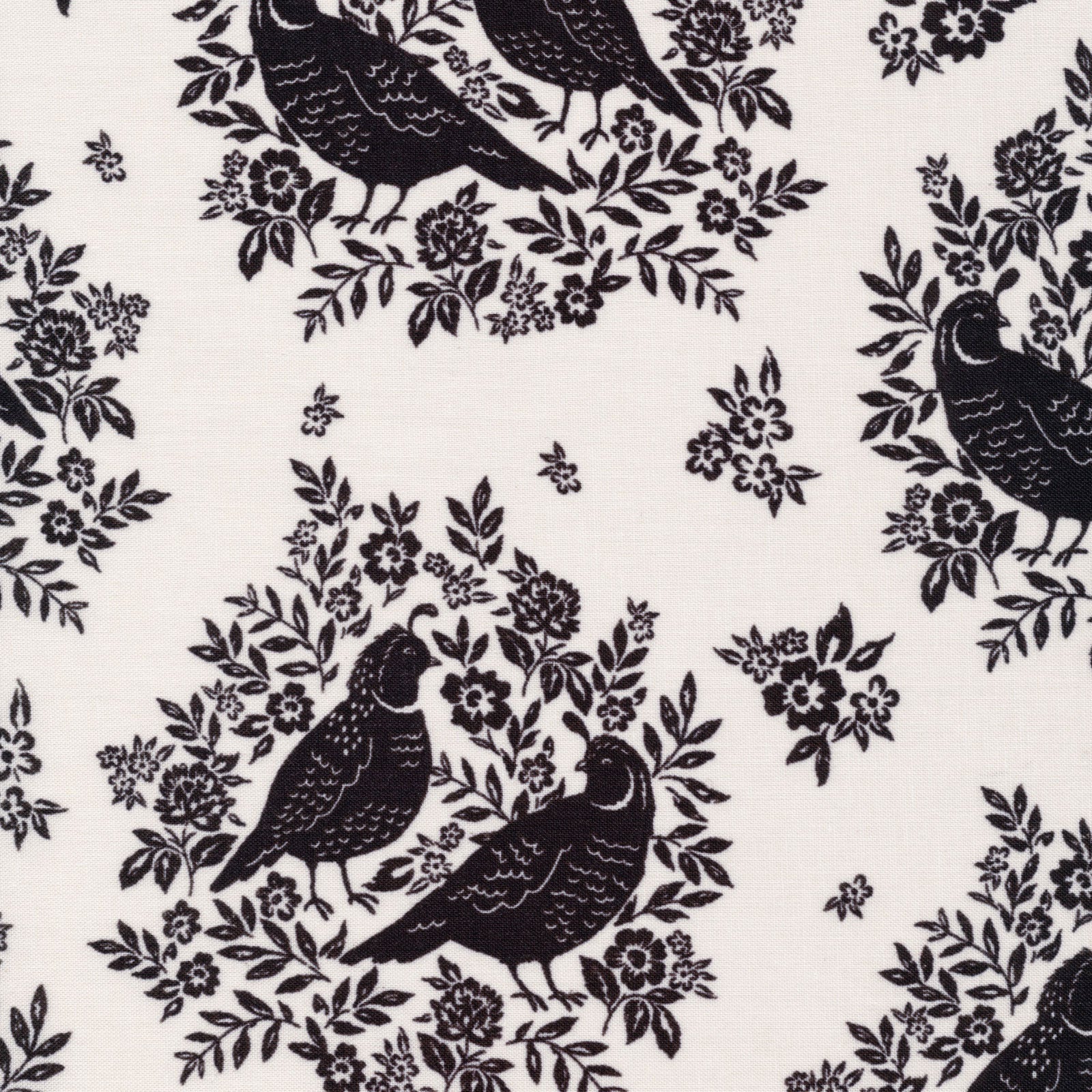 Quail Lane | Organic - Weave & Woven