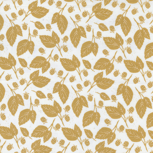 Midnight In Garden Oak Leaves on White