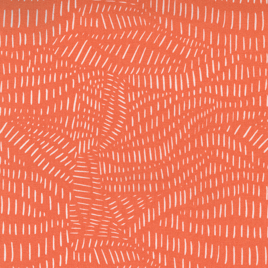 Scattered Lines in Clementine - Weave & Woven
