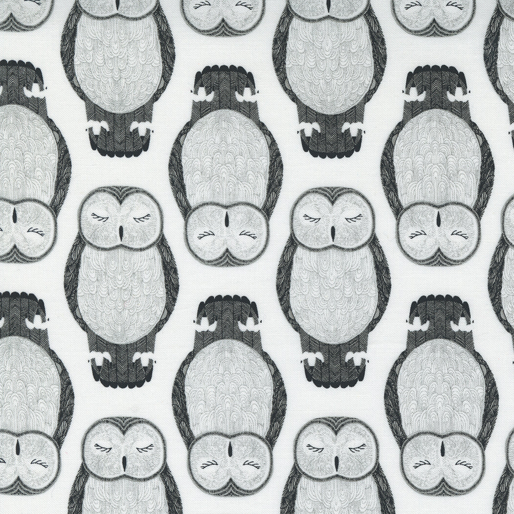 Sleeping Owls