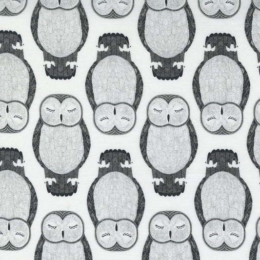 Sleeping Owls