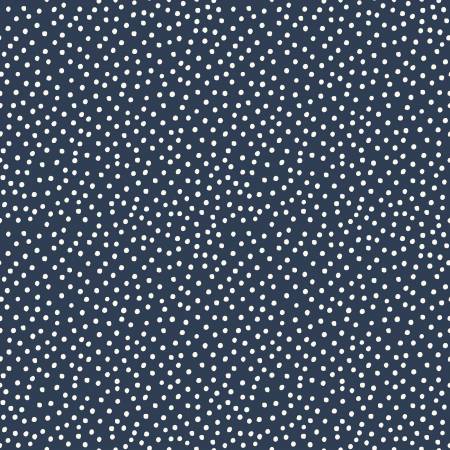 Gingham Foundry Dots on Navy - Weave & Woven