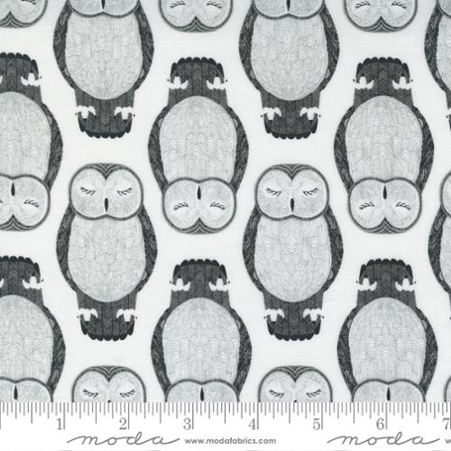 Sleeping Owls