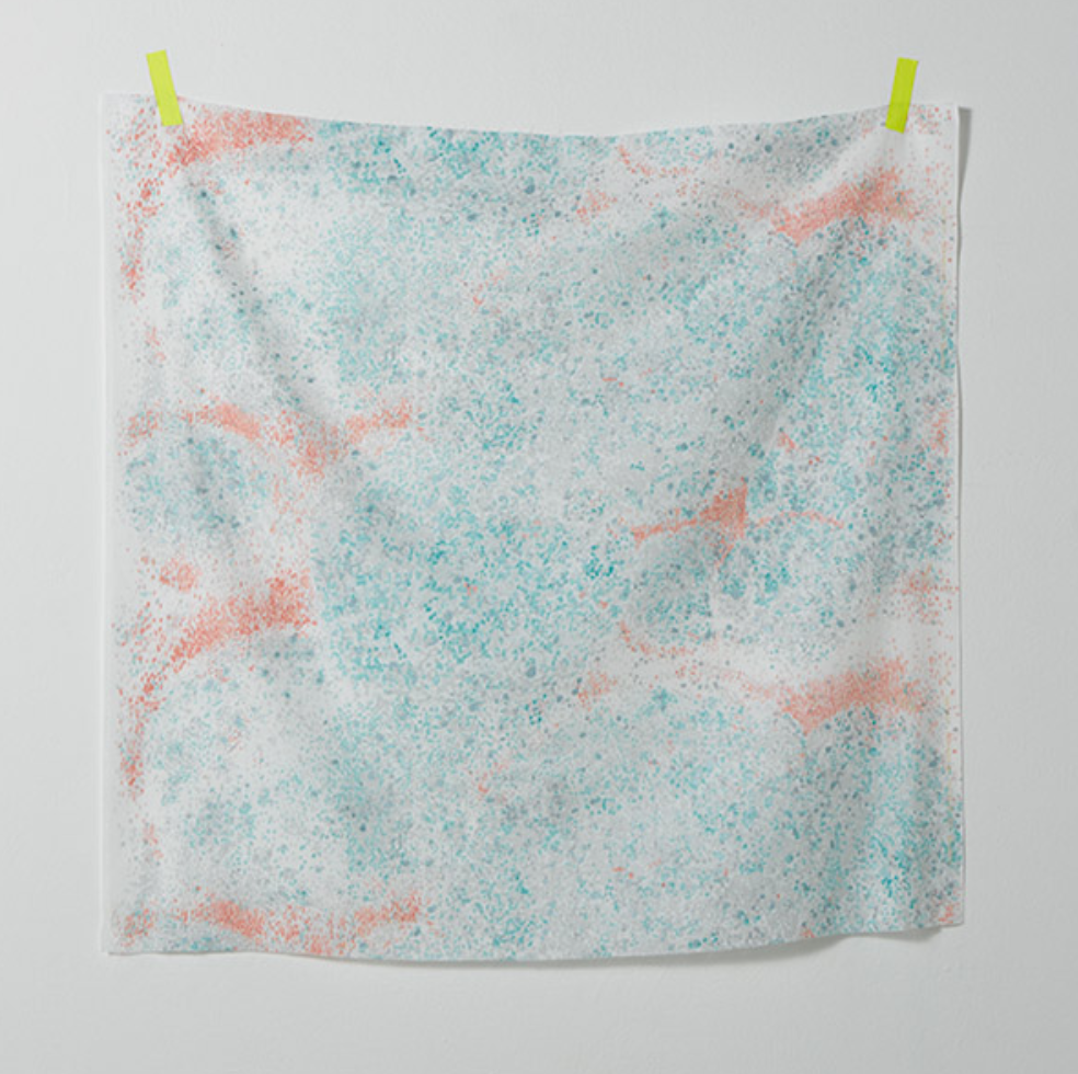Birds Eye - H ~ Double Gauze - Weave & Woven