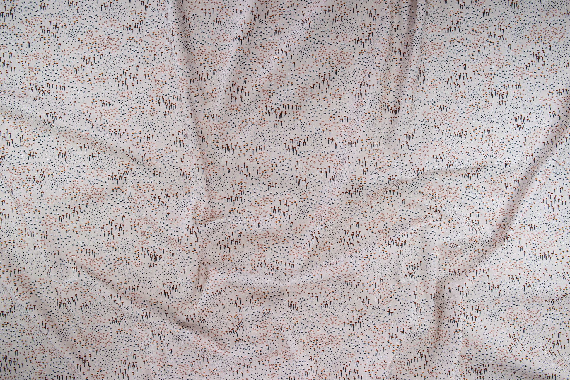 Wilderly in Early Sunset - Weave & Woven
