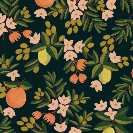 Citrus Floral in Black | Canvas