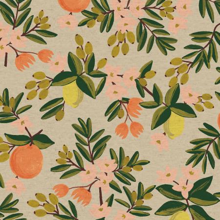 Citrus Floral in Sand | Canvas