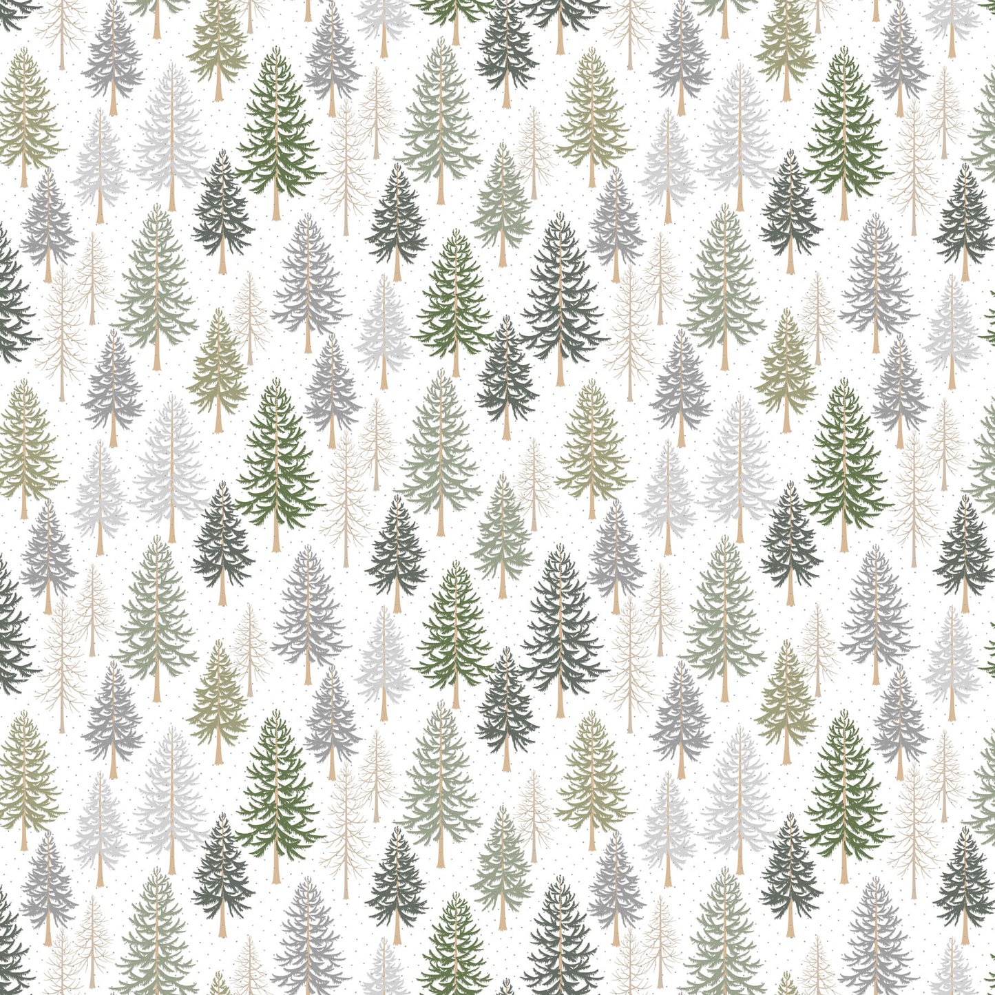Pine Trees on White