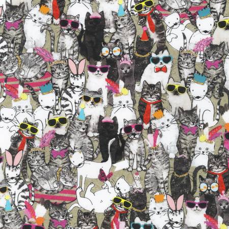 The Cat Family