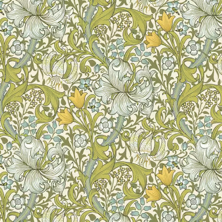 Golden Lilly in Sunshine