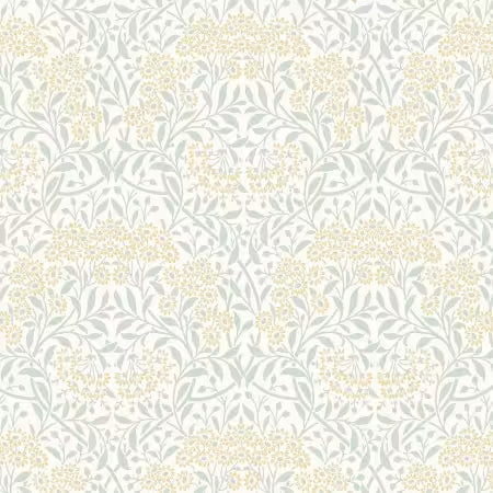 Michaelmas Daisy in Ivory