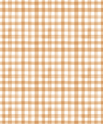 Botany Gingham in Spice