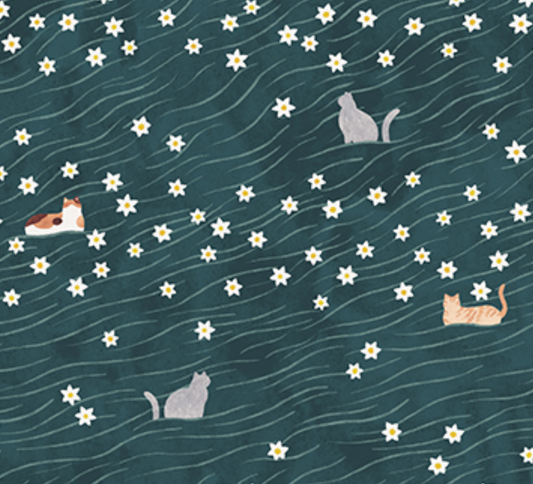 Cat Field on Teal