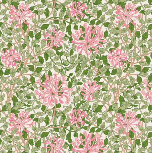 Trailing Honeysuckle A | Wide Back