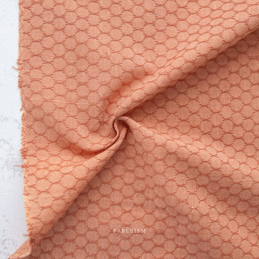 Persimmon | Honeycomb