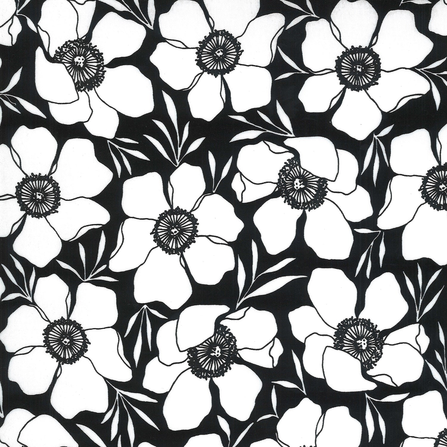 Anemone Flowers on Ink - Weave & Woven