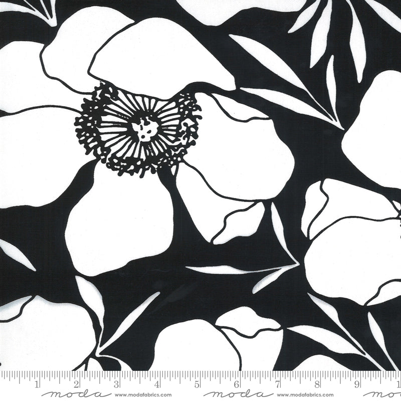 Anemone Flowers on Ink | Canvas - Weave & Woven