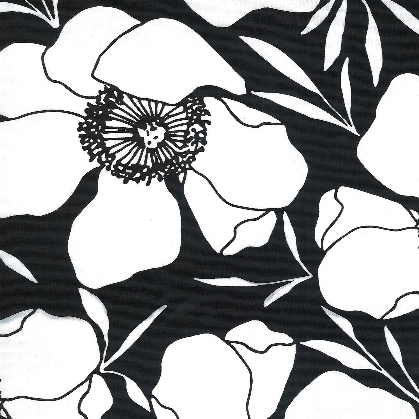 Anemone Flowers on Ink | Canvas - Weave & Woven