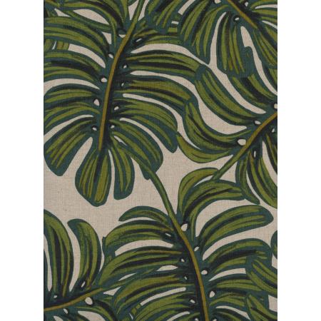 Monstera in Natural | Canvas