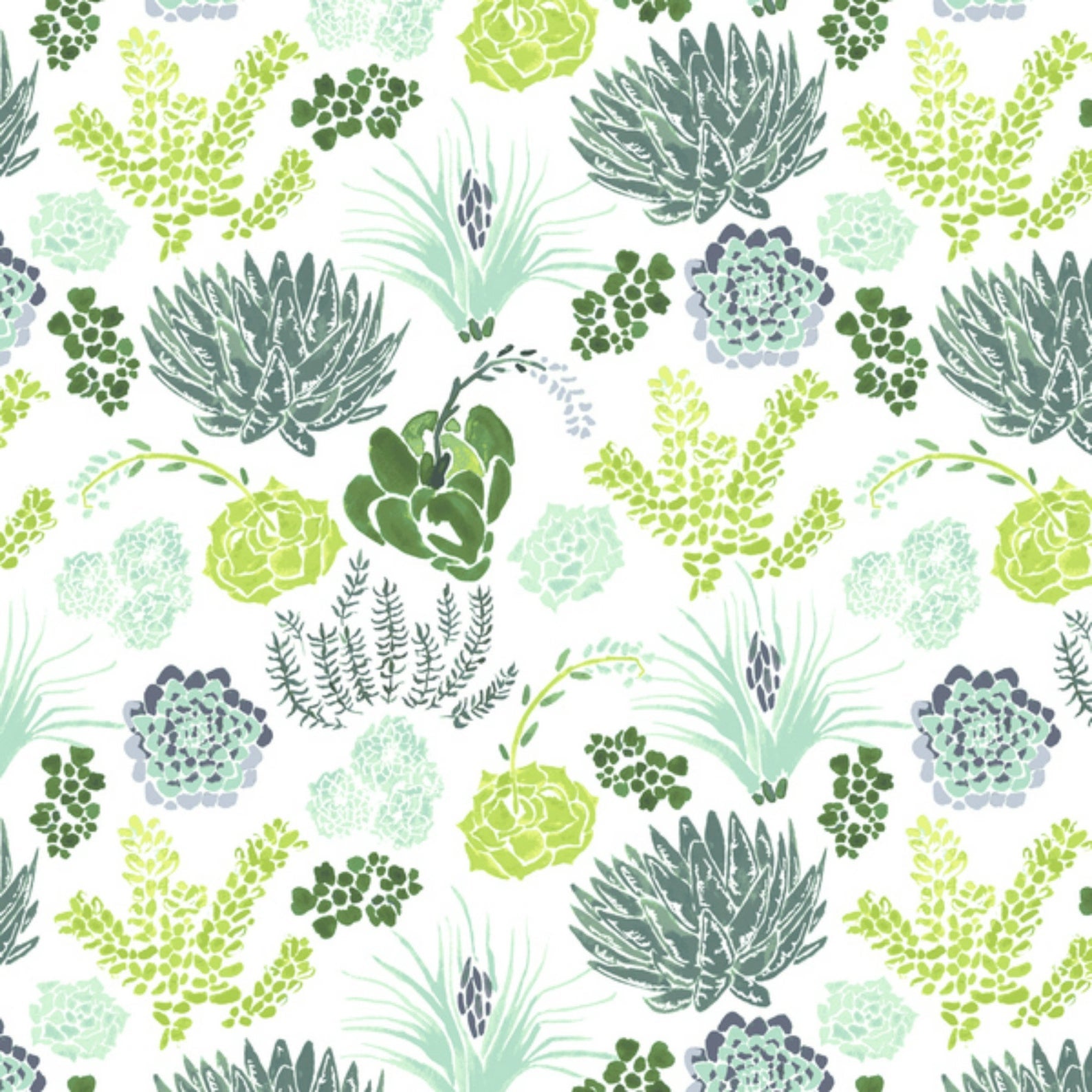 Succulents on White - Weave & Woven